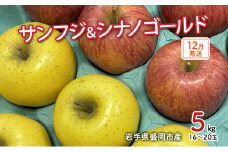 【12月発送】盛岡市産 田村ふぁーむ 家庭用 完熟りんごサンふじ＆シナノゴールド5kg（14～20玉） 果物類 林檎 リンゴ 