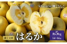 りんご 岩手 樹上完熟 はるか 約 5kg 14～16玉 希少 極上品 フルーツ 果物 おやつ 冬 旬 旬のフルーツ 旬の果物 お取り寄せ 取り寄せ 産地直送 生産者直送 岩手県 盛岡 盛岡市 予約 2025 2025年 年内発送
