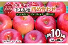 盛岡から「農で人をつなぐ」藤与果樹園：《訳アリ》おまかせ中生品種詰め合わせ（シナノスイート、ジョナゴールド、早生ふじ、ぐんま名月、もりのかがやき等から2種以上）10kg  訳アリ 不揃い 傷 規格外 フルーツ 果物 旬のフルーツ 旬の果物 旬 冬 岩手 盛岡 産地直送 玉数指定不可 詰め合わせ 岩手 盛岡