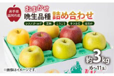 盛岡から「農で人をつなぐ」藤与果樹園：おまかせ晩生品種詰め合わせ（シナノゴールド、王林、こうこう、サンふじ、はるか、金星、ぐんま名月、シナノスイート等から２種以上）3kg フルーツ 果物 旬のフルーツ 旬の果物 旬 冬 岩手 盛岡 産地直送 玉数指定不可 詰め合わせ 岩手 盛岡