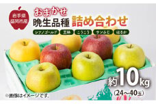 盛岡から「農で人をつなぐ」藤与果樹園：おまかせ晩生品種詰め合わせ（シナノゴールド、王林、こうこう、サンふじ、はるか、金星、ぐんま名月、シナノスイート等から２種以上）10kg フルーツ 果物 旬のフルーツ 旬の果物 旬 冬 岩手 盛岡 産地直送 玉数指定不可 詰め合わせ 岩手 盛岡