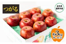 盛岡から「農で人をつなぐ」藤与果樹園：つがる 3kg フルーツ 果物 旬のフルーツ 旬の果物 旬 冬 岩手 盛岡 産地直送 玉数指定不可 詰め合わせ 岩手 盛岡