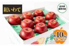 盛岡から「農で人をつなぐ」藤与果樹園：紅いわて10kg フルーツ 果物 旬のフルーツ 旬の果物 旬 冬 岩手 盛岡 産地直送 玉数指定不可 詰め合わせ 岩手 盛岡