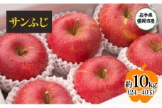 盛岡から「農で人をつなぐ」藤与果樹園：サンふじ10kg フルーツ 果物 旬のフルーツ 旬の果物 旬 冬 岩手 盛岡 産地直送 玉数指定不可 詰め合わせ 岩手 盛岡