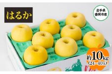 盛岡から「農で人をつなぐ」藤与果樹園：はるか10kg フルーツ 果物 旬のフルーツ 旬の果物 旬 冬 岩手 盛岡 産地直送 玉数指定不可 詰め合わせ 岩手 盛岡