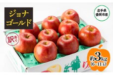 盛岡から「農で人をつなぐ」藤与果樹園：《訳アリ》ジョナゴールド3kg  訳アリ 不揃い 傷 規格外 フルーツ 果物 旬のフルーツ 旬の果物 旬 冬 岩手 盛岡 産地直送 玉数指定不可 詰め合わせ 岩手 盛岡