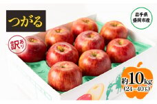 盛岡から「農で人をつなぐ」藤与果樹園：《訳アリ》つがる10kg  訳アリ 不揃い 傷 規格外 フルーツ 果物 旬のフルーツ 旬の果物 旬 冬 岩手 盛岡 産地直送 玉数指定不可 詰め合わせ 岩手 盛岡