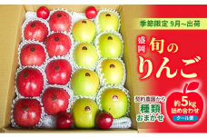 盛岡 旬のりんご《種類おまかせ！》 約5キロ詰め合わせ 《季節限定9月～出荷》《クール便》《契約農園から》