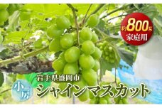 【先行予約】9月中旬発送 小房作り 家庭用 盛岡 シャインマスカット 約800g　約2～3房