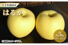 【大櫻農園】はるか 盛岡 完熟 りんご 約5kg（14～20玉 ）