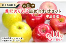 【大櫻農園】盛岡 りんご 中生 「お任せ 季節のりんご詰め合わせ」約10kg（28～40玉）