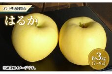 【大櫻農園】はるか 盛岡 完熟 りんご 約3kg（7～9玉） 