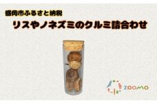 リスやノネズミのクルミ詰合わせ盛岡市 盛岡 体験 動物 鳥 病院 動物園 公園 ギフト お土産