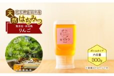 盛岡市 大西養蜂場 盛岡産はちみつ【使いやすい 300g ボトル りんご】 非加熱 大西養蜂場 天然蜂蜜 天然 蜂蜜 ハチミツ 国産 リンゴ 林檎 りんごはちみつ 国産はちみつ 非加熱はちみつ 非加熱 瓶 瓶詰め 岩手 岩手県