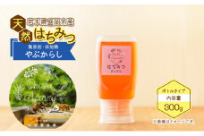 盛岡市 大西養蜂場 盛岡産はちみつ【使いやすい 300g ボトル 夏の百花（やぶからし）】  貴重 採蜜 無加工 ミツバチ マスカットさわやか ビタミン ミネラル 栄養素 国産はちみつ 非加熱はちみつ 非加熱 岩手 岩手県 