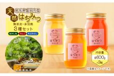 盛岡市 大西養蜂場 盛岡産はちみつ【たっぷり 600g 瓶 3種 堪能 セット】 大西養蜂場  非加熱はちみつ 非加熱 ハチミツ 蜂蜜 国産 国産はちみつ 国産はちみつ非加熱 アカシア蜂蜜 非加熱蜂蜜 国産蜂蜜 はちみつ ハチミツ 国産 リンゴ 林檎 りんごはちみつ 岩手 岩手県