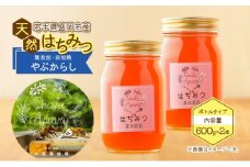 盛岡市 大西養蜂場 盛岡産はちみつ【たっぷり 600g 瓶 夏の百花（やぶからし）2本 セット】  貴重 採蜜 無加工 ミツバチ マスカットさわやか ビタミン ミネラル 栄養素 国産はちみつ 非加熱はちみつ 非加熱 岩手 岩手県 