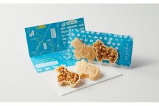 もりおかみやげ「MOYANE」お菓子７商品詰め合わせセット