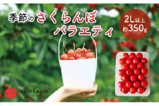 盛岡市 サンファーム 季節のさくらんぼ バラエティ 2L以上 約350g※品種はお選びいただけません 果物類 フルーツ チェリー 