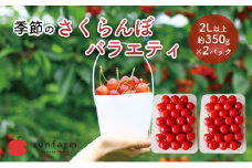 盛岡市 サンファーム 季節のさくらんぼ バラエティ 2L以上 約350g×2P※品種はお選びいただけません 果物類 フルーツ チェリー 