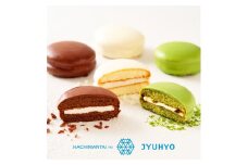 八幡平の樹氷6個入 菓子 お菓子 おかし 焼き菓子 冷蔵便