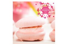八幡平の樹氷いちご6個入 菓子 お菓子 おかし  焼き菓子 入学式 卒業式 転勤 ご挨拶 冷蔵便