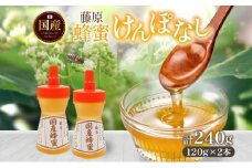 藤原国産蜂蜜 けんぽなし 計240g はちみつ ケンポナシ 玄圃梨 国産 単花蜜 朝しぼり 完熟 ハチミツ パン 菓子 トースト ホットケーキ ヨーグルト 調味料 隠し味 お取り寄せ ポリ容器 常温 常備 送料無料 藤原養蜂場 岩手県 盛岡市