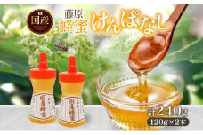 藤原国産蜂蜜 けんぽなし 計240g はちみつ ケンポナシ 玄圃梨 国産 単花蜜 朝しぼり 完熟 ハチミツ パン 菓子 トースト ホットケーキ ヨーグルト 調味料 隠し味 お取り寄せ ポリ容器 常温 常備 送料無料 藤原養蜂場 岩手県 盛岡市
