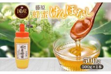 藤原国産蜂蜜 けんぽなし 500g はちみつ ケンポナシ 玄圃梨 国産 単花蜜 朝しぼり 完熟 ハチミツ パン 菓子 トースト ホットケーキ ヨーグルト 調味料 隠し味 お取り寄せ ポリ容器 常温 常備 送料無料 藤原養蜂場 岩手県 盛岡市