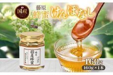 藤原国産蜂蜜 けんぽなし 160g はちみつ ケンポナシ 玄圃梨 国産 単花蜜 朝しぼり 完熟 ハチミツ パン 菓子 トースト ホットケーキ ヨーグルト 調味料 隠し味 お取り寄せ 瓶 容器 常温 常備 送料無料 藤原養蜂場 岩手県 盛岡市