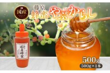 藤原国産蜂蜜 やぶからし 500g はちみつ ヤブカラシ 国産 単花蜜 朝しぼり 完熟 ハチミツ パン 菓子 トースト ホットケーキ ヨーグルト 調味料 隠し味 お取り寄せ ポリ容器 常温 常備 送料無料 藤原養蜂場 岩手県 盛岡市