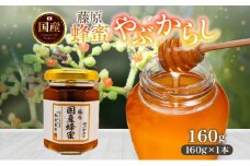 藤原国産蜂蜜 やぶからし 160g はちみつ ヤブカラシ 国産 単花蜜 朝しぼり 完熟 ハチミツ パン 菓子 トースト ホットケーキ ヨーグルト 調味料 隠し味 お取り寄せ ポリ容器 常温 常備 送料無料 藤原養蜂場 岩手県 盛岡市