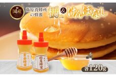 藤原黄金蜂蜜 栃 国産蜂蜜 ケンポナシ 各120g 計240g はちみつ とち 玄圃梨 国産 単花蜜 朝しぼり 完熟 ハチミツ パン 菓子 トースト ホットケーキ ヨーグルト 調味料 隠し味 お取り寄せ ポリ容器 常温 常備 送料無料 藤原養蜂場 岩手県 盛岡市