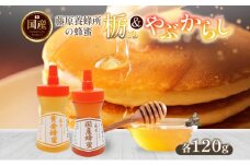 藤原黄金蜂蜜 栃 国産蜂蜜 やぶからし 各120g 計240g はちみつ とち ヤブカラシ 国産 単花蜜 朝しぼり 完熟 ハチミツ パン 菓子 トースト ホットケーキ ヨーグルト 調味料 隠し味 お取り寄せ ポリ容器 常温 常備 送料無料 藤原養蜂場 岩手県 盛岡市