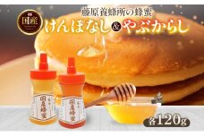 藤原国産蜂蜜 けんぽなし やぶからし 計240g はちみつ ヤブカラシ 玄圃梨 国産 単花蜜 朝しぼり 完熟 ハチミツ パン 菓子 トースト ホットケーキ ヨーグルト 調味料 隠し味 お取り寄せ ポリ容器 常温 常備 送料無料 藤原養蜂場 岩手県 盛岡市
