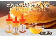 藤原黄金蜂蜜 3種セット 栃 けんぽなし やぶからし 各120g 計360g はちみつ とち 国産 単花蜜 朝しぼり 完熟 ハチミツ パン 菓子 トースト ホットケーキ ヨーグルト 調味料 お取り寄せ ポリ容器 常温 常備 送料無料 藤原養蜂場 岩手県 盛岡市
