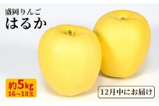 12月限定 りんご 『はるか』 生果実 盛岡りんご 約5kg(18個) 箱 盛岡市 下久保農園産                     