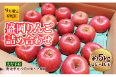 9月限定 りんご 『盛岡りんご』生果実 家庭用 約5kg(18～16個) 箱 詰め合わせ 盛岡市 下久保農園産                       
