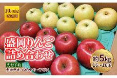 10月限定 りんご 『盛岡りんご』生果実 家庭用 約5kg(18～16個) 箱 詰め合わせ 盛岡市 下久保農園産                   