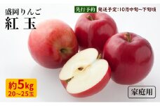 10月限定 りんご 『紅玉』生果実 盛岡りんご 家庭用 約5kg(20～25個) 箱 盛岡市 下久保農園産