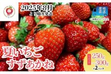 盛岡夏いちご (すずあかね) 盛岡市玉山から産地直送！ 250g～300g × 2パック 苺 クール便 数量限定 岩手 果物類 イチゴ 