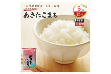 【12か月定期便】盛岡市産あきたこまち5kg×12か月