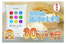 【3か月定期便】盛岡市産銀河のしずく【無洗米】30kg×3か月