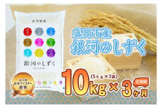 【3か月定期便】盛岡市産銀河のしずく10kg×3か月