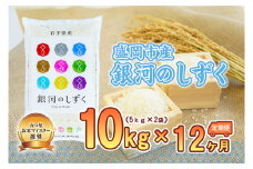 【12か月定期便】盛岡市産銀河のしずく10kg×12か月