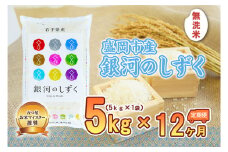 【12か月定期便】盛岡市産銀河のしずく【無洗米】5kg×12か月