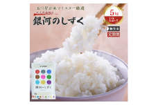 【12か月定期便】盛岡市産銀河のしずく【無洗米】5kg×12か月