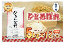 【12か月定期便】盛岡市産ひとめぼれ【無洗米】5kg×12か月