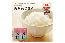 【12か月定期便】盛岡市産あきたこまち【無洗米】10kg×12か月