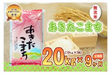 【9か月定期便】盛岡市産あきたこまち【無洗米】20kg×9か月